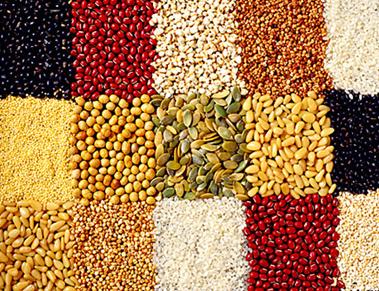 陜西農(nóng)產(chǎn)品市場詳情咨詢