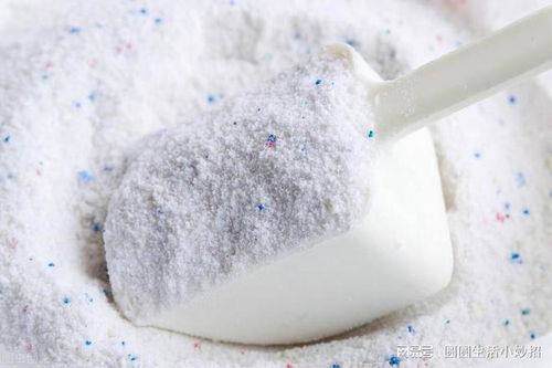 家里有螞蟻不用開(kāi)水燙,教你4個(gè)妙招,螞蟻不敢來(lái)你家,安全管用