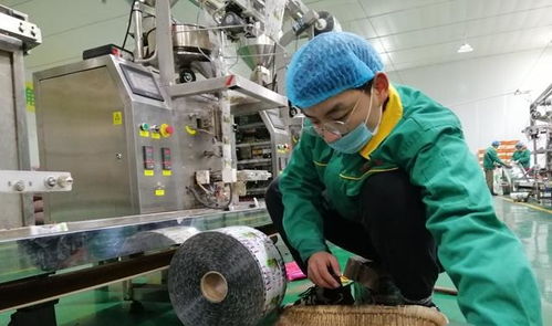 李三瓜子溫暖一方百姓 讓寒假學習無需原形就能找到工作崗位